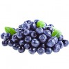 Blueberry / 125g